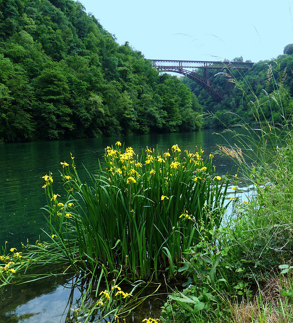 Gap Montevecchia The Adda River and the iron Bridge- L'Adda e il ponte di ferro