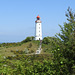Leuchtfeuer Dornbusch auf Hiddensee