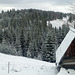 Winter mountainscape