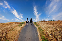 Ausritt an einem Sommermorgen - Riding out on a summer morning