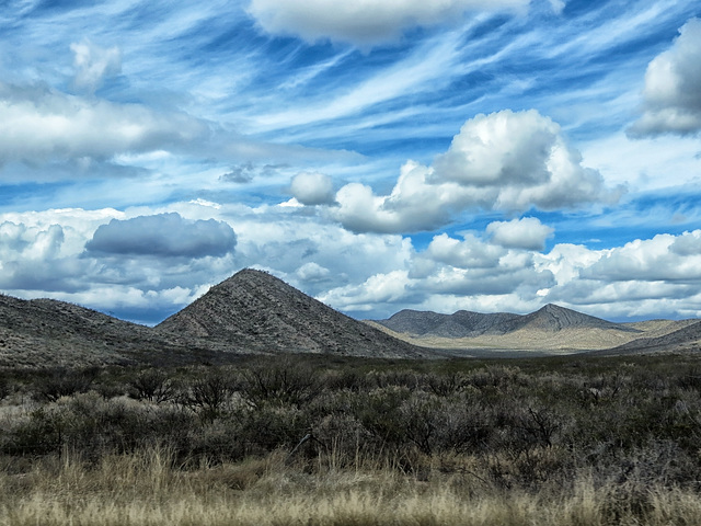 Hills Of The Mules