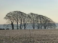 A frosty morning