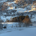 Røynesnes in the winter