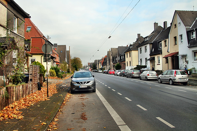 Leveringhauser Straße (Castrop-Rauxel-Ickern) / 2.11.2017