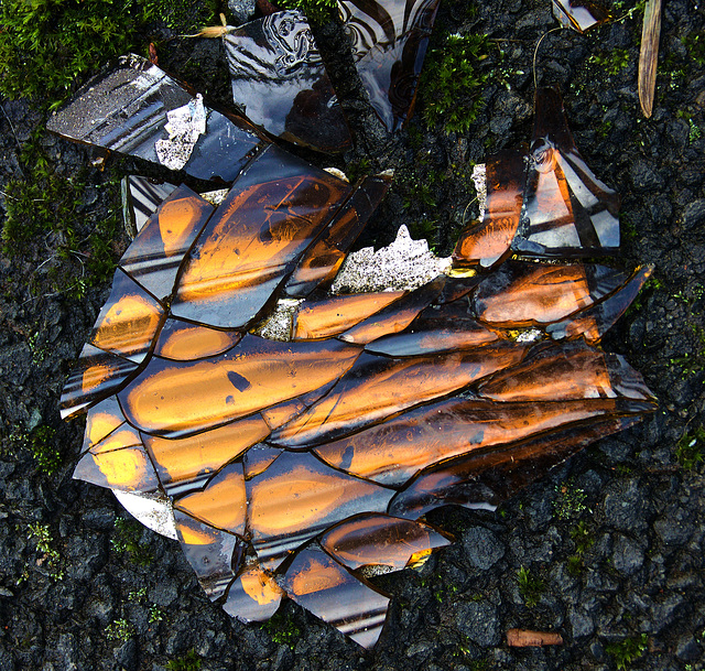 Broken Bottle......Or A Tortoiseshell Treasure Trove? Broken Bottle......Or A Tortoiseshell Treasure Trove?
