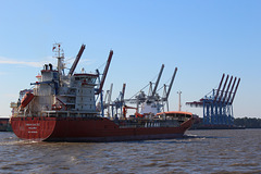 SWAN BALTIC