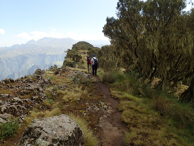 Trekking in the Simian Mountains