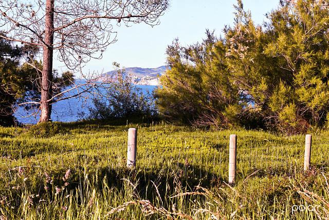 HFF.Happy Fence Friday, for everyone from Getxo!