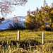 HFF.Happy Fence Friday, for everyone from Getxo!