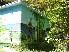 Stromkasten auf der Insel Hiddensee