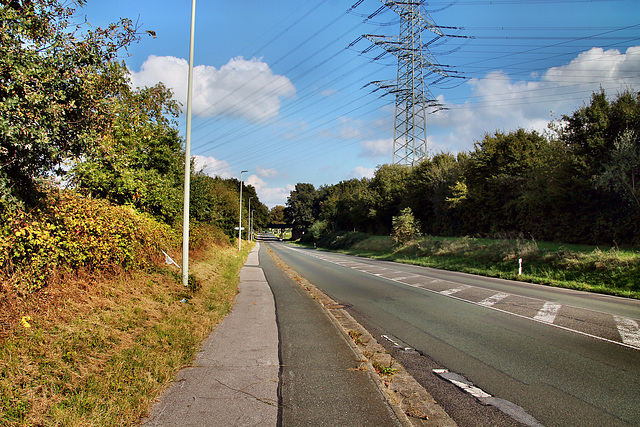 Böskenstraße (Voerde-Friedrichsfeld) / 5.10.2024