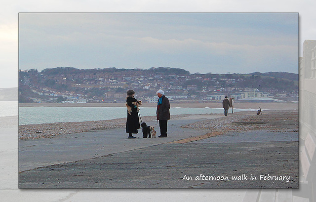 An afternoon walk in February - Seaford - 25.2.2015