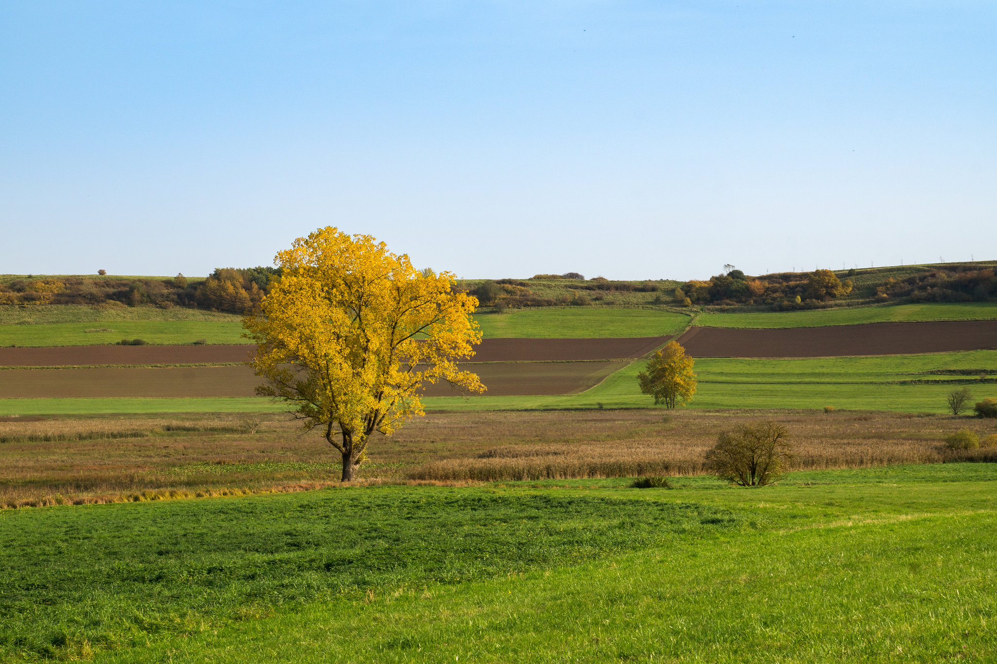 Dreiser Weiher