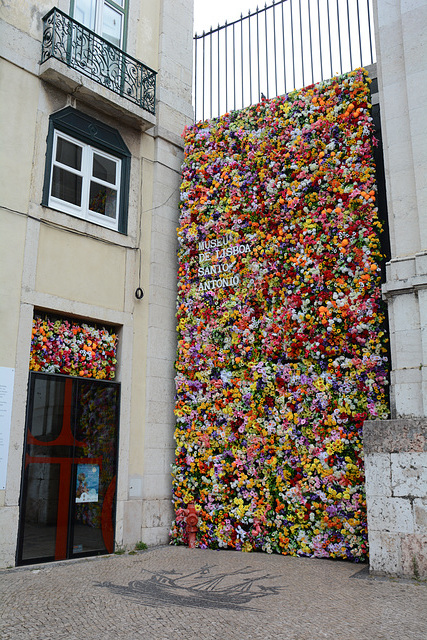 Museum of Lisbon St. Antonio