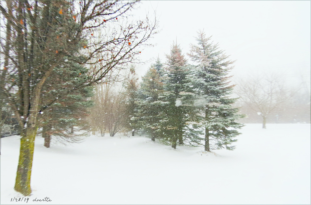 A perfect January day in Michigan