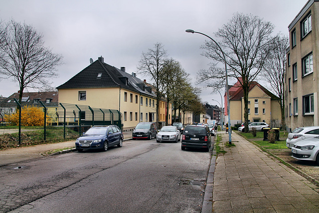 Shamrockstraße (Herne) / 8.04.2023