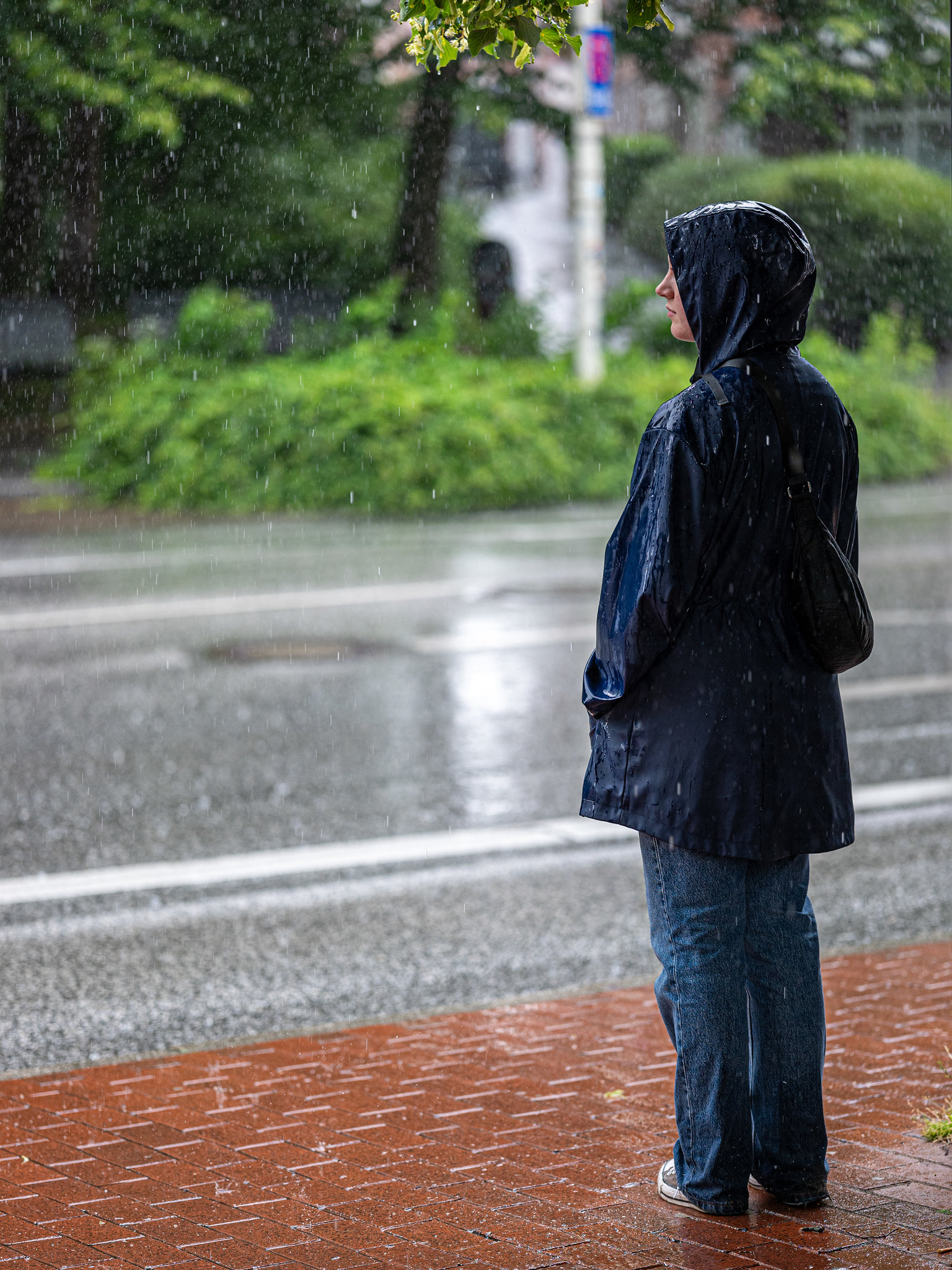 Waiting in the rain