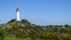 Leuchtfeuer Dornbusch auf Hiddensee