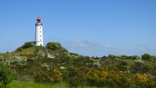 Leuchtfeuer Dornbusch auf Hiddensee