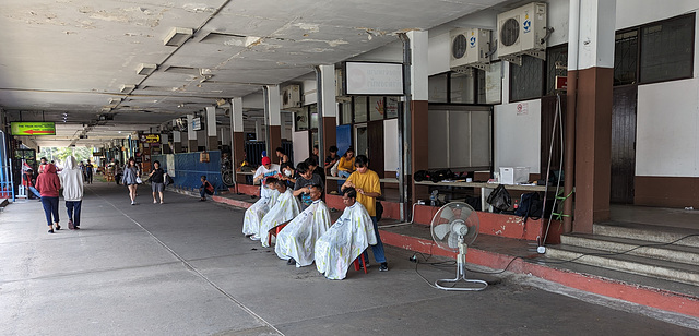 Salon de coiffure en plein air / Open-air hairdressing salon