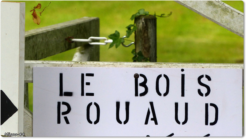 RENDEZ-VOUS AUX JARDINS