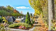 Autumnal cemetery