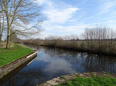 Maesbury Canal from Queen's Head