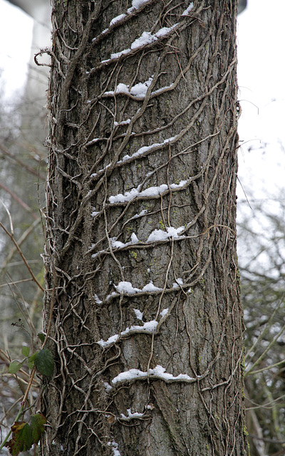 Accroc à la neige