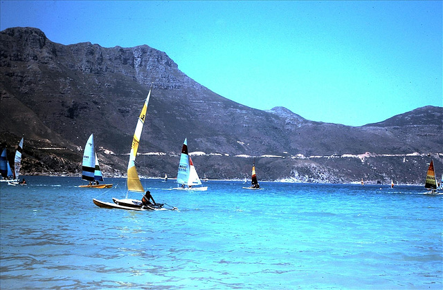 1981 Hobie Cat Sailing