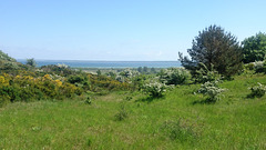 Ostsee vor Hiddensee