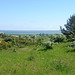 Ostsee vor Hiddensee