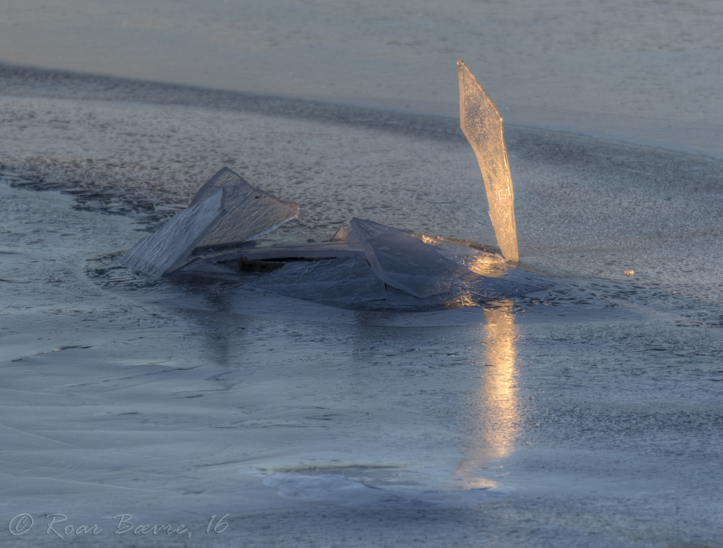 Fjord ice