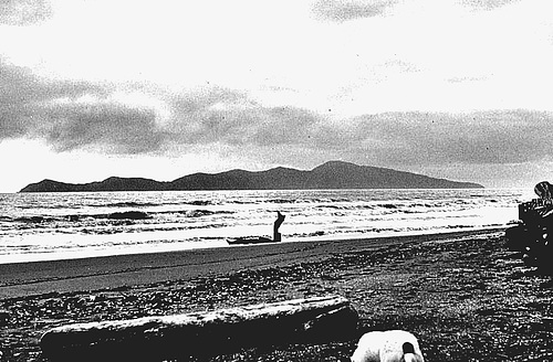 Paekakariki  Beach.