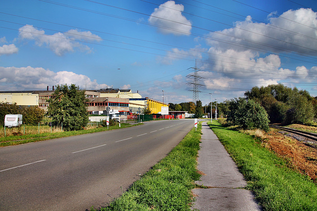 Bühlstraße (Voerde-Friedrichsfeld) / 5.10.2024