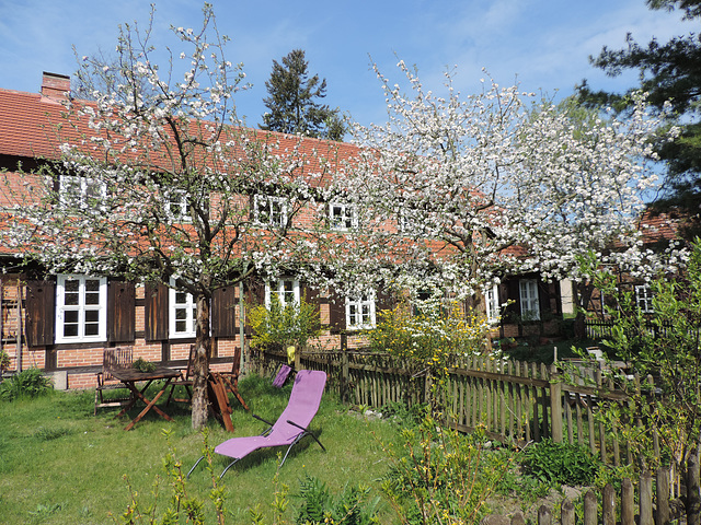 Museumsdorf Glashütte - Hanami