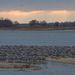 Platte river, early morning, with cranes