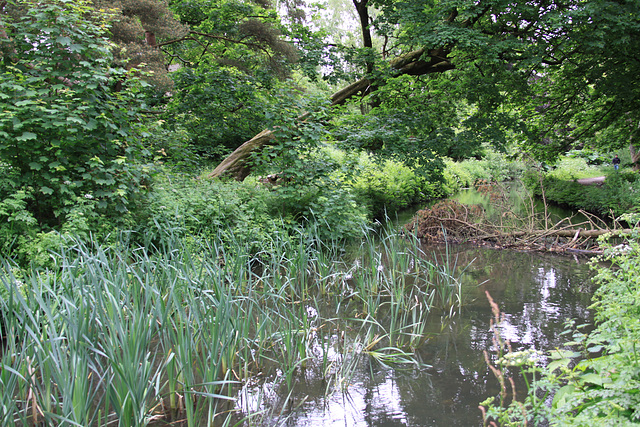 Feeder Canal