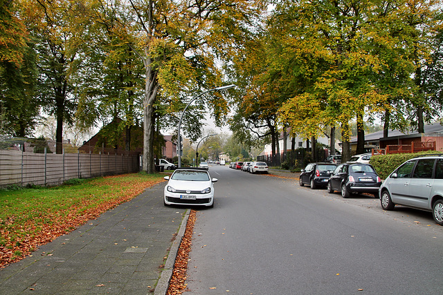 Zechenstraße (Castrop-Rauxel-Ickern) / 2.11.2017