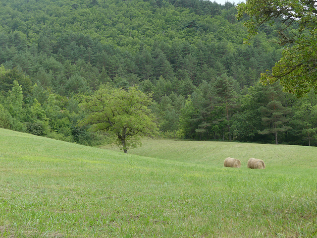 20180720 Rando solo Source du Durzon (4) al