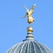 Fama von hinten, Dresden