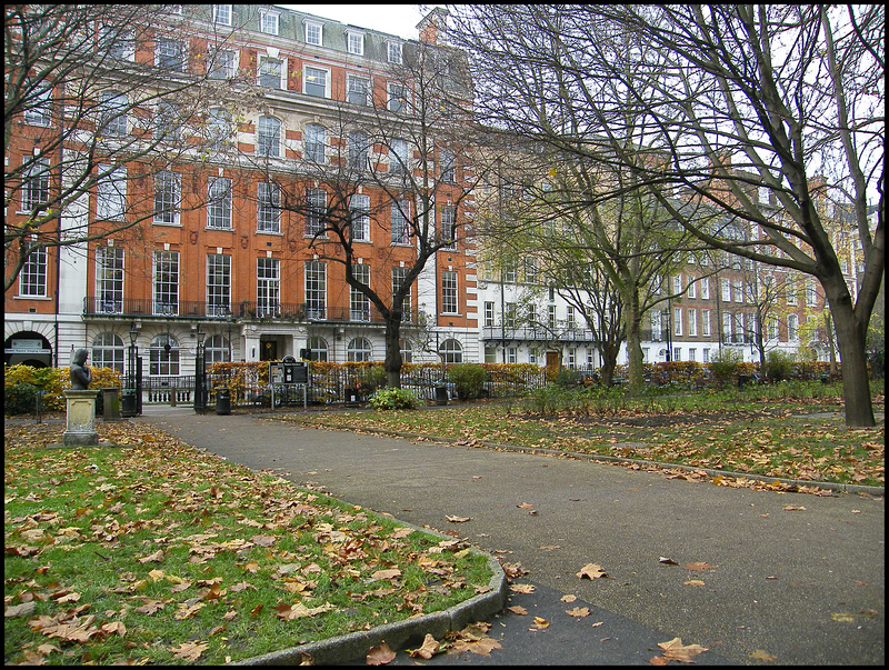 autumn at Queen Square