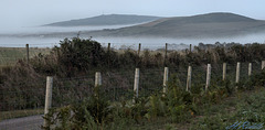 Misty fence
