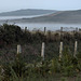 Misty fence