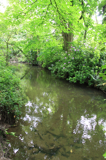 Feeder Canal