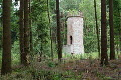 Forest Tower of Power