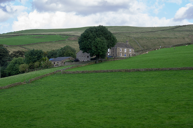 Tunstead Farm