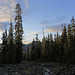 Easton Glacier Drainage