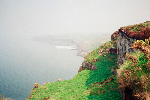 Saltom Bay from North Head (scan from 1990)