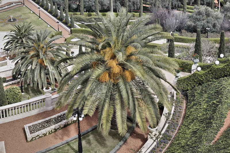 Giant Steps – Baha’i Gardens, Haifa, Israel