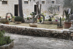 Cactus Garden, Take #5 – El-Muraqa Monastery, Daliyat al-Karmel, Israel